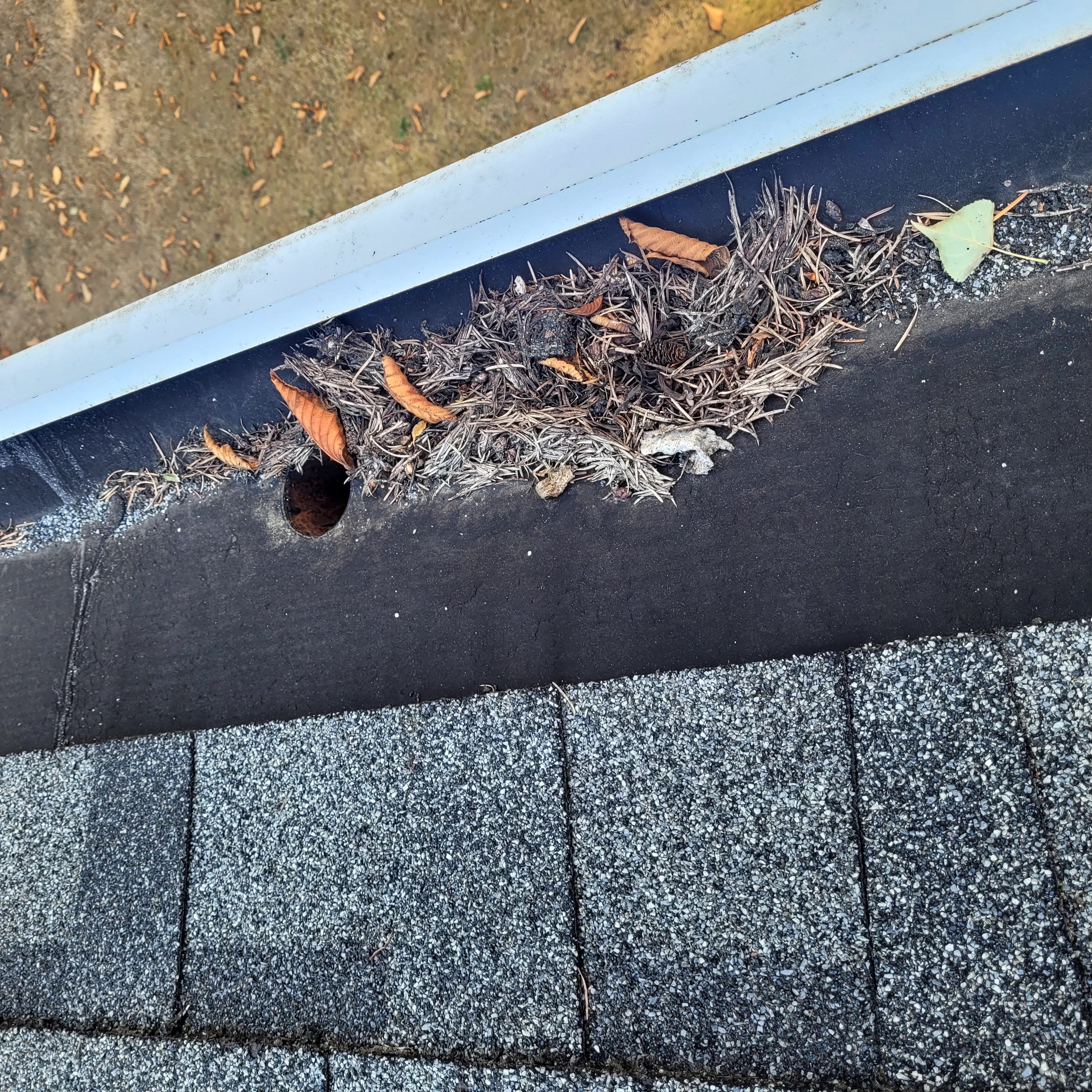 Roof and Gutter Cleaning in Port Orchard, Kitsap County, WA